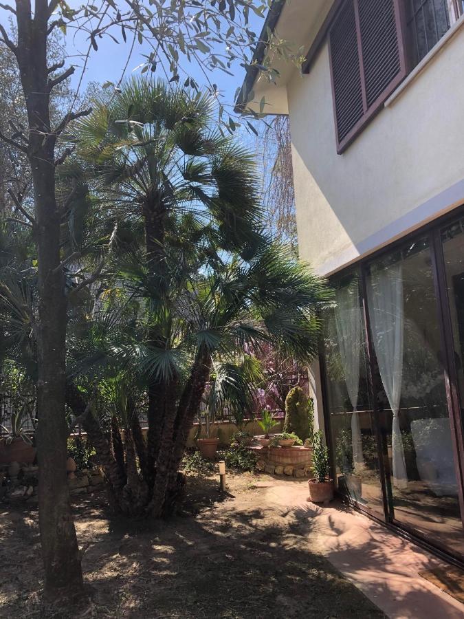 La Villa Bianca - Appartamento In Villa Sesto Fiorentino Εξωτερικό φωτογραφία