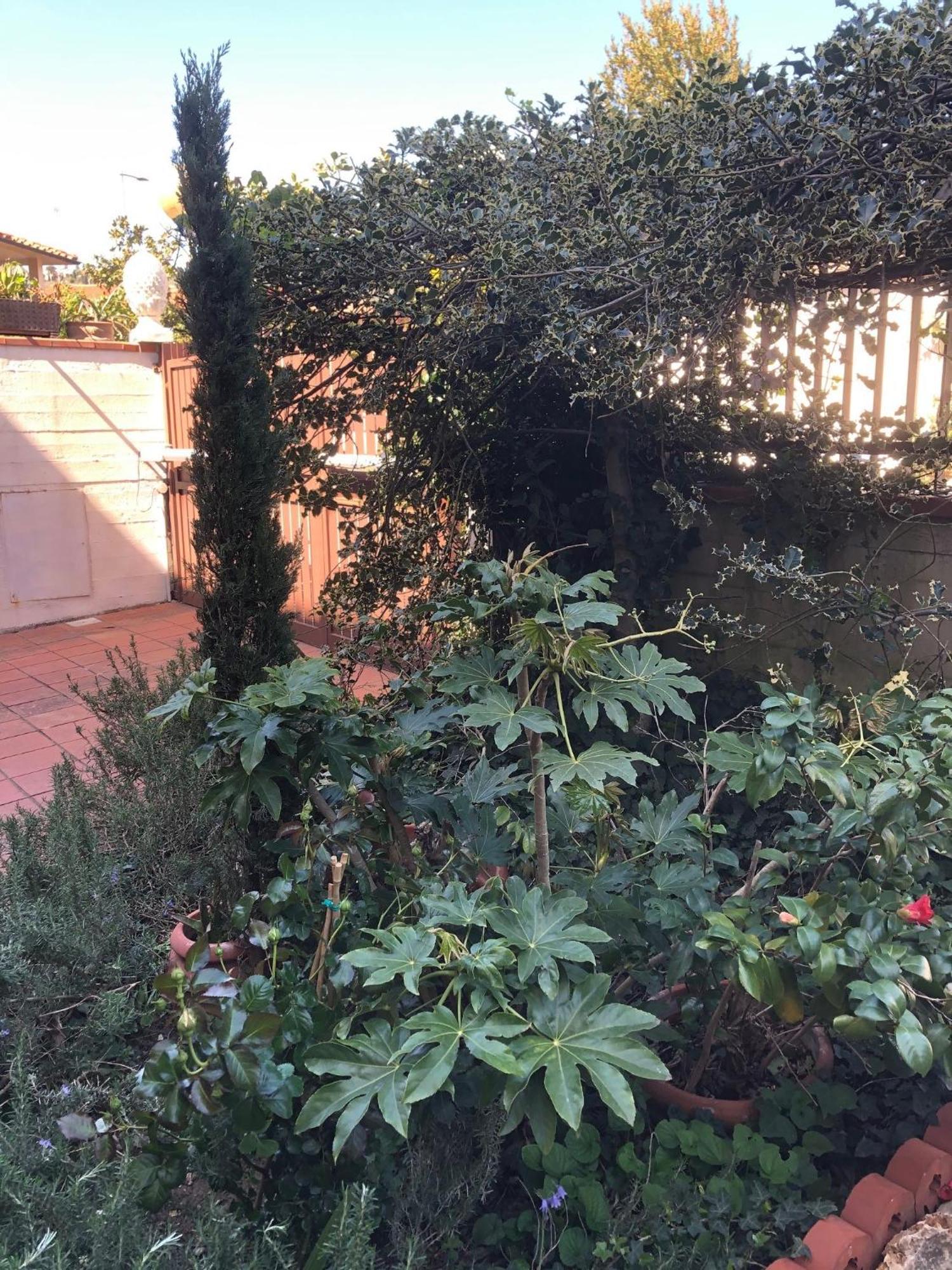 La Villa Bianca - Appartamento In Villa Sesto Fiorentino Εξωτερικό φωτογραφία