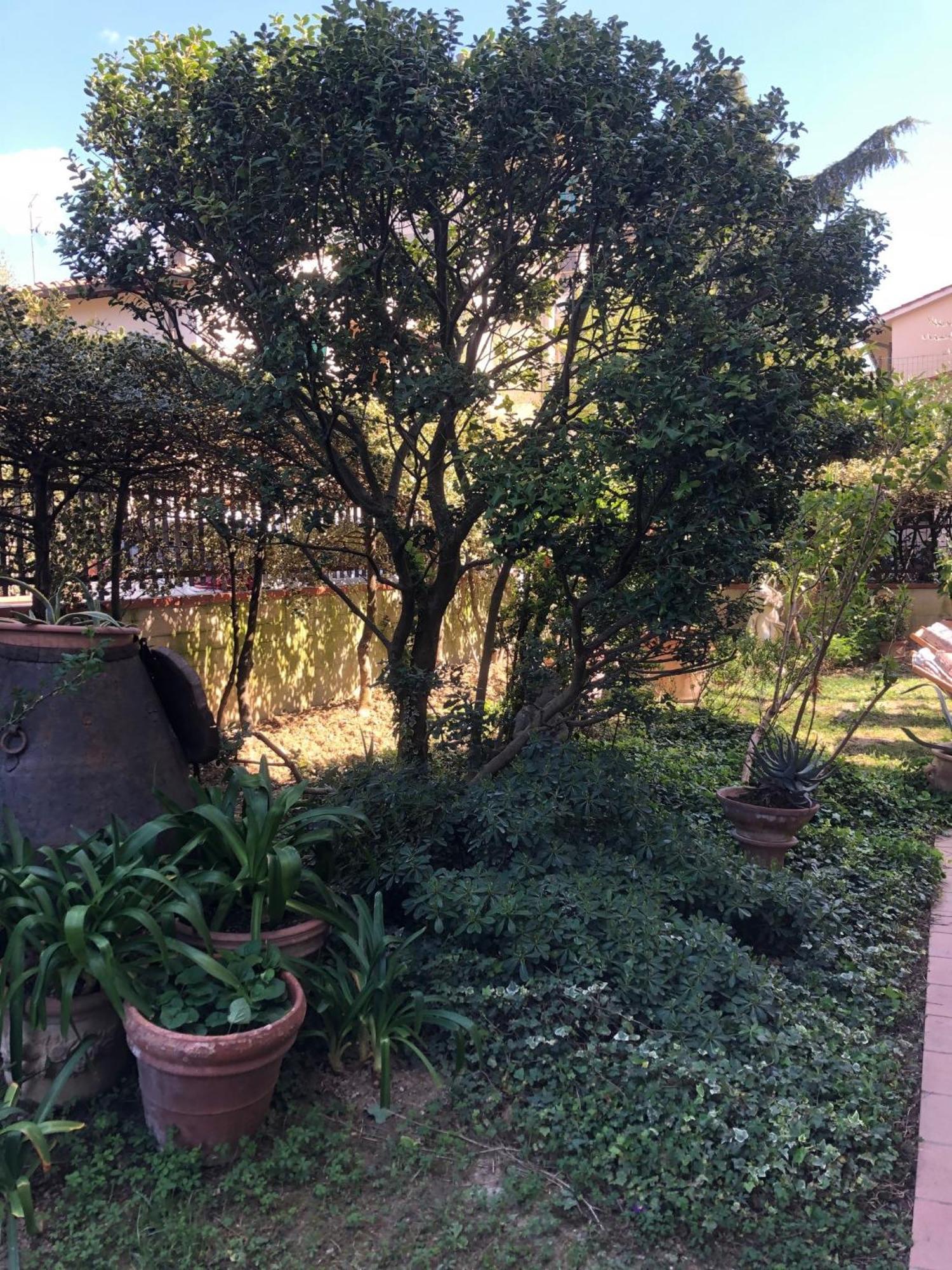 La Villa Bianca - Appartamento In Villa Sesto Fiorentino Εξωτερικό φωτογραφία